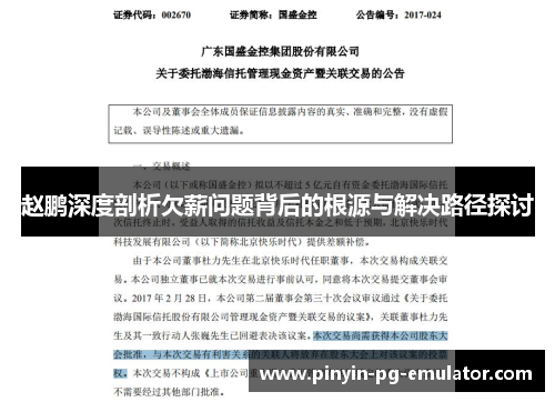 赵鹏深度剖析欠薪问题背后的根源与解决路径探讨 赵鹏深度剖析欠薪问题背后的根源与解决路径探讨