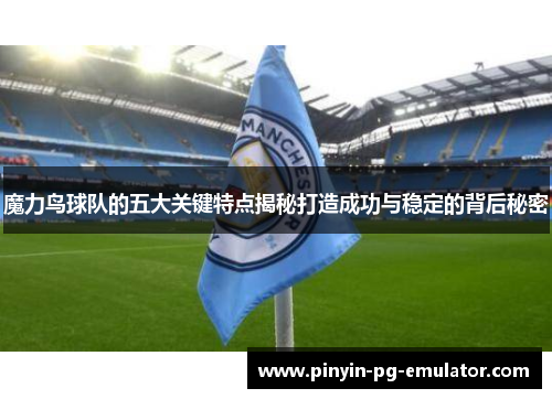 魔力鸟球队的五大关键特点揭秘打造成功与稳定的背后秘密