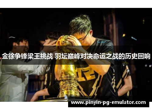 金徐争锋梁王挑战 羽坛巅峰对决命运之战的历史回响